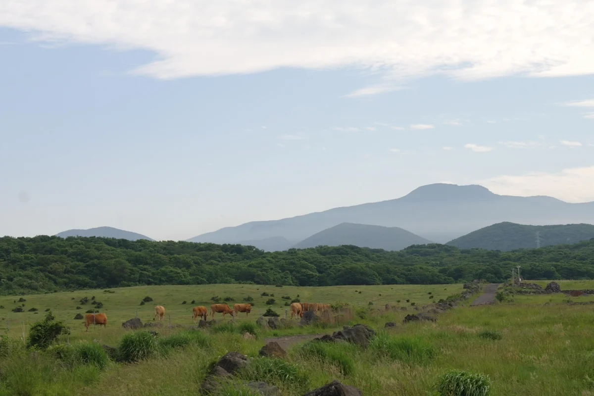 제주돌문화공원 - 조천 여행