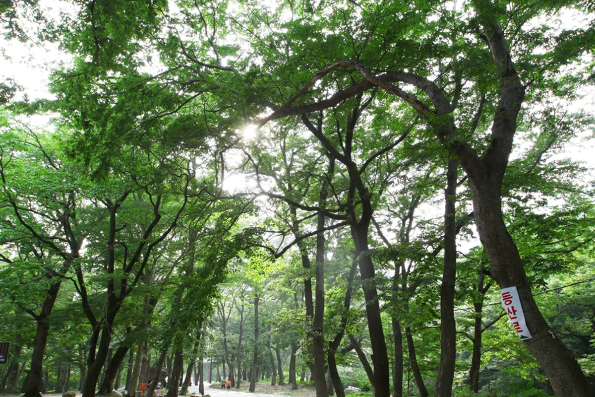 재약산 - 양산 여행