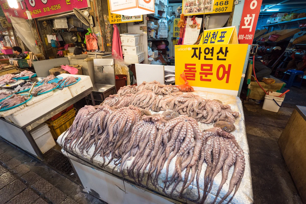 부전시장 - 부산 여행