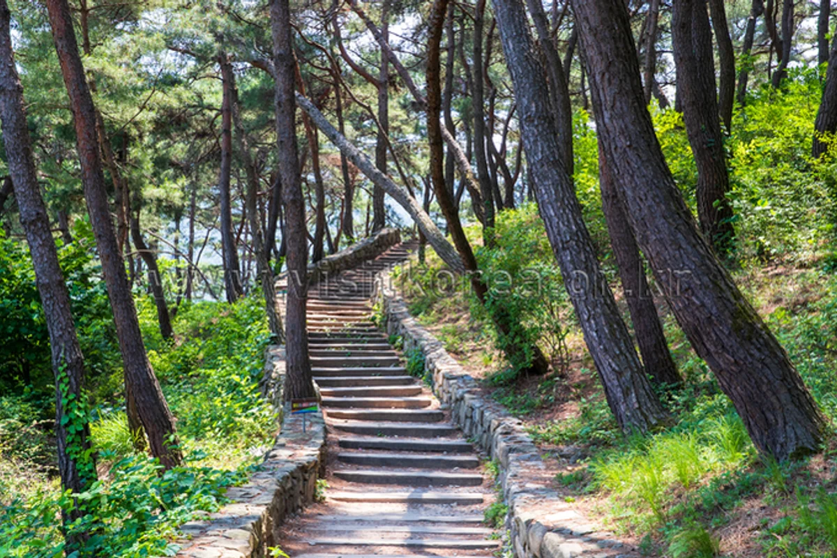 산막이옛길 - 괴산 여행