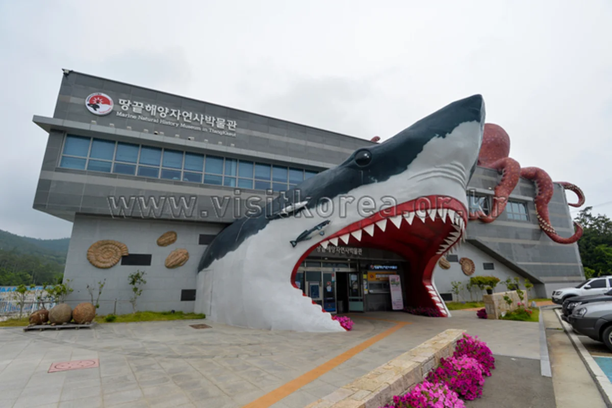 해양자연사박물관 - 영도 여행