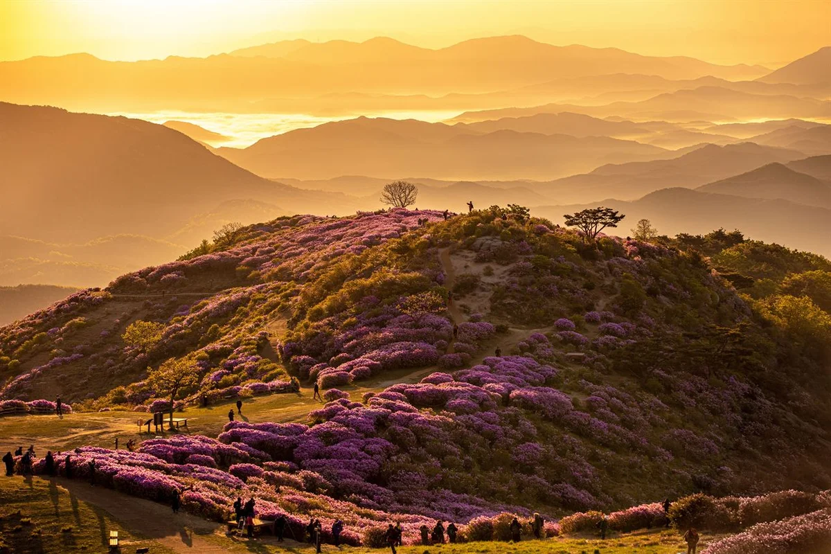 황매산 - 합천 여행