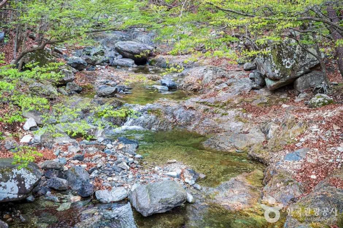 천성산 - 양산 여행