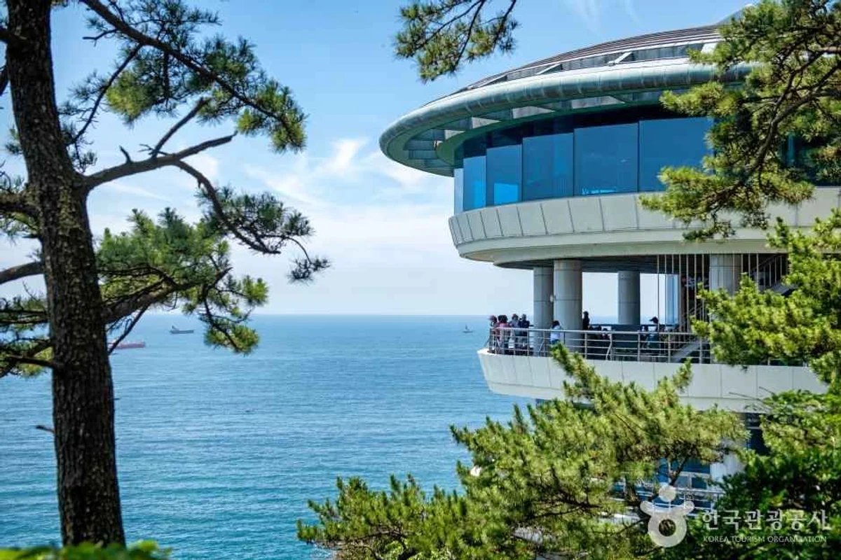 태종대전망대 - 여행 여행