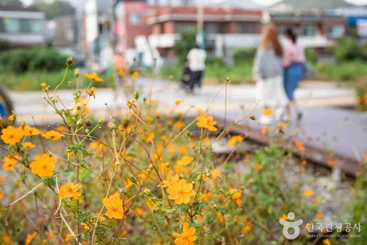 해리단길 - 부산 여행