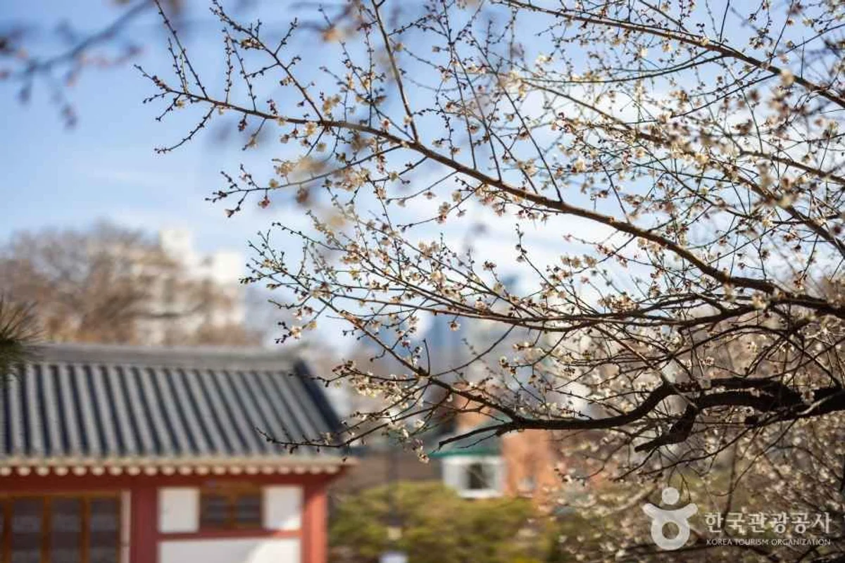 수영사적공원 - 부산 여행
