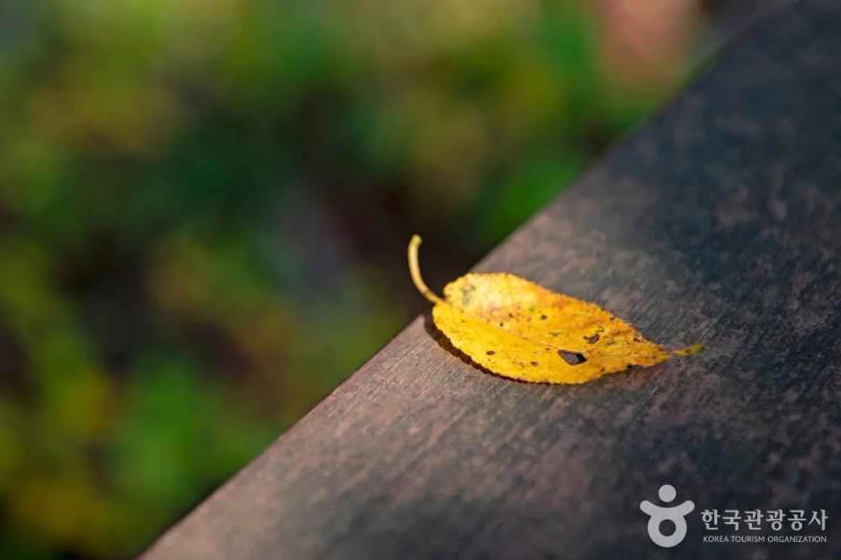 배산 - 연제구 여행