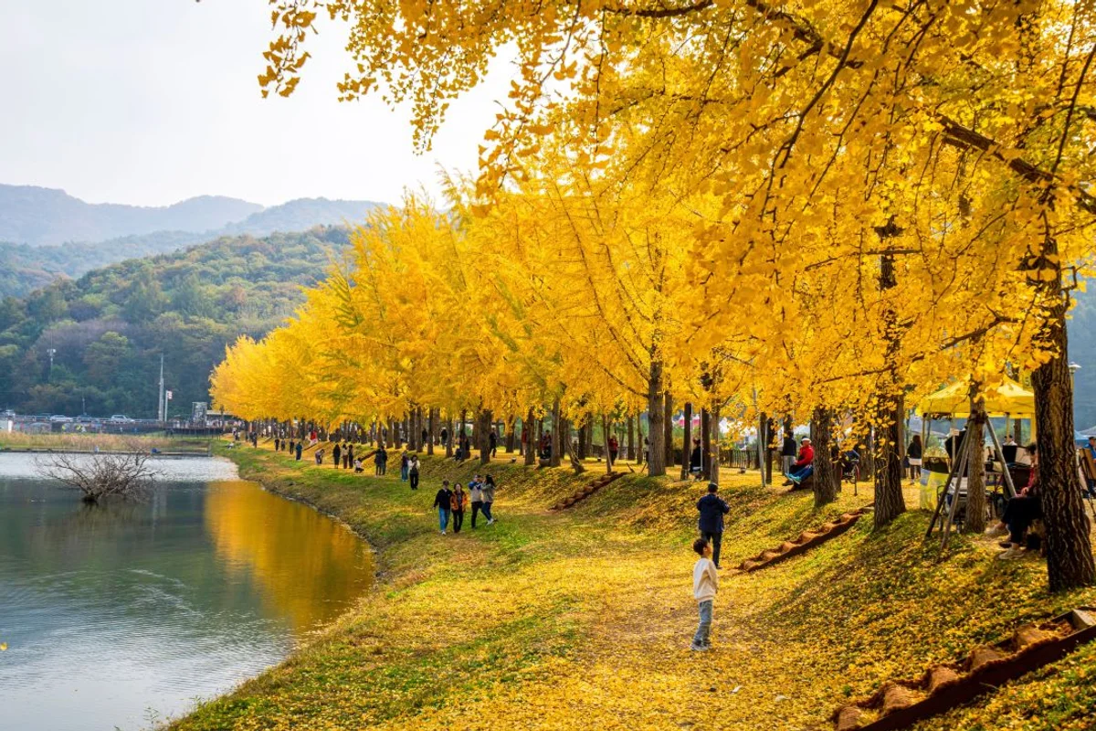 문광저수지 - 괴산 여행