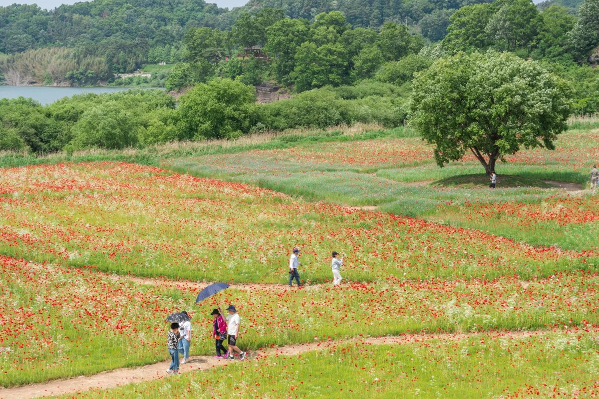 악양둑방 - 여행 여행