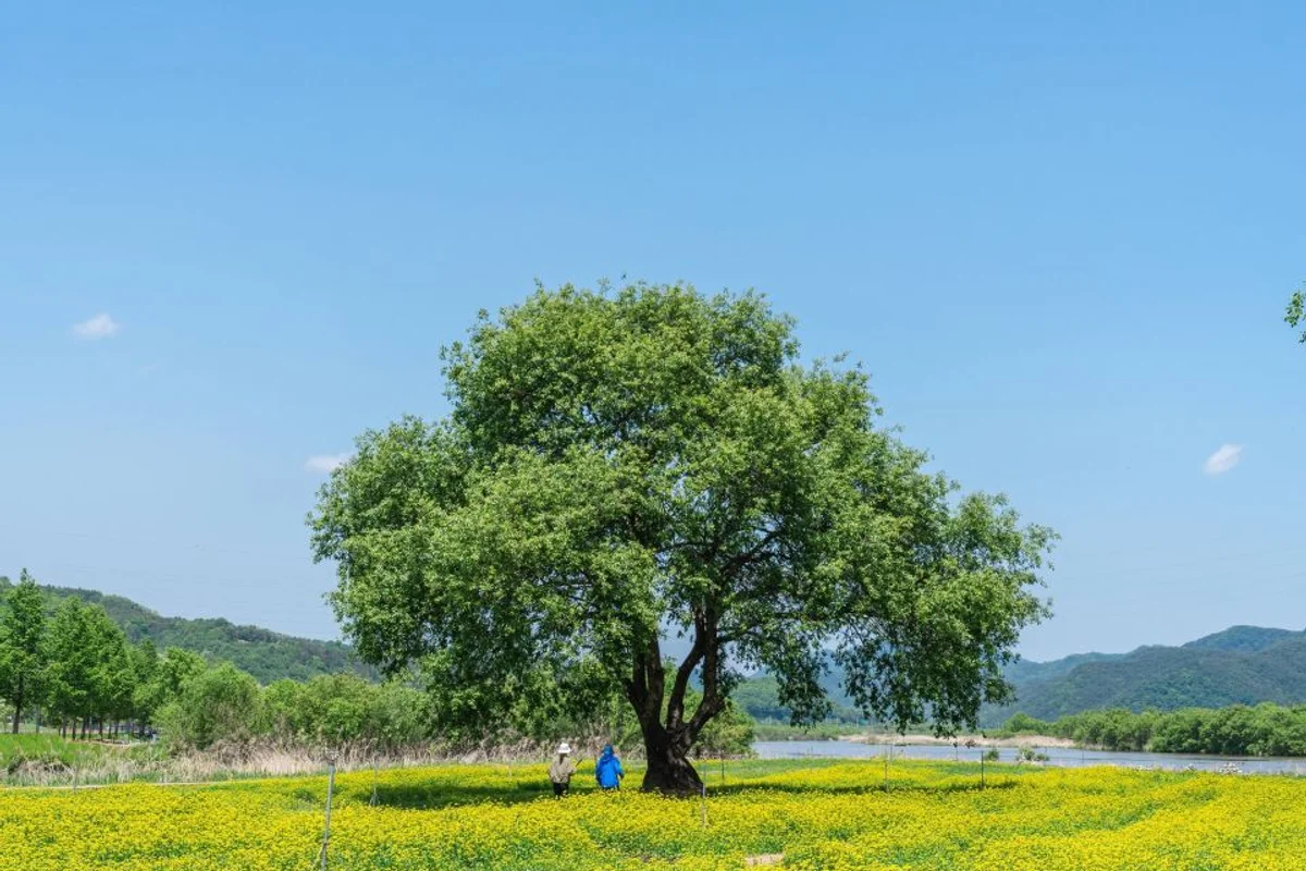 핫들생태공원 - 여행 여행