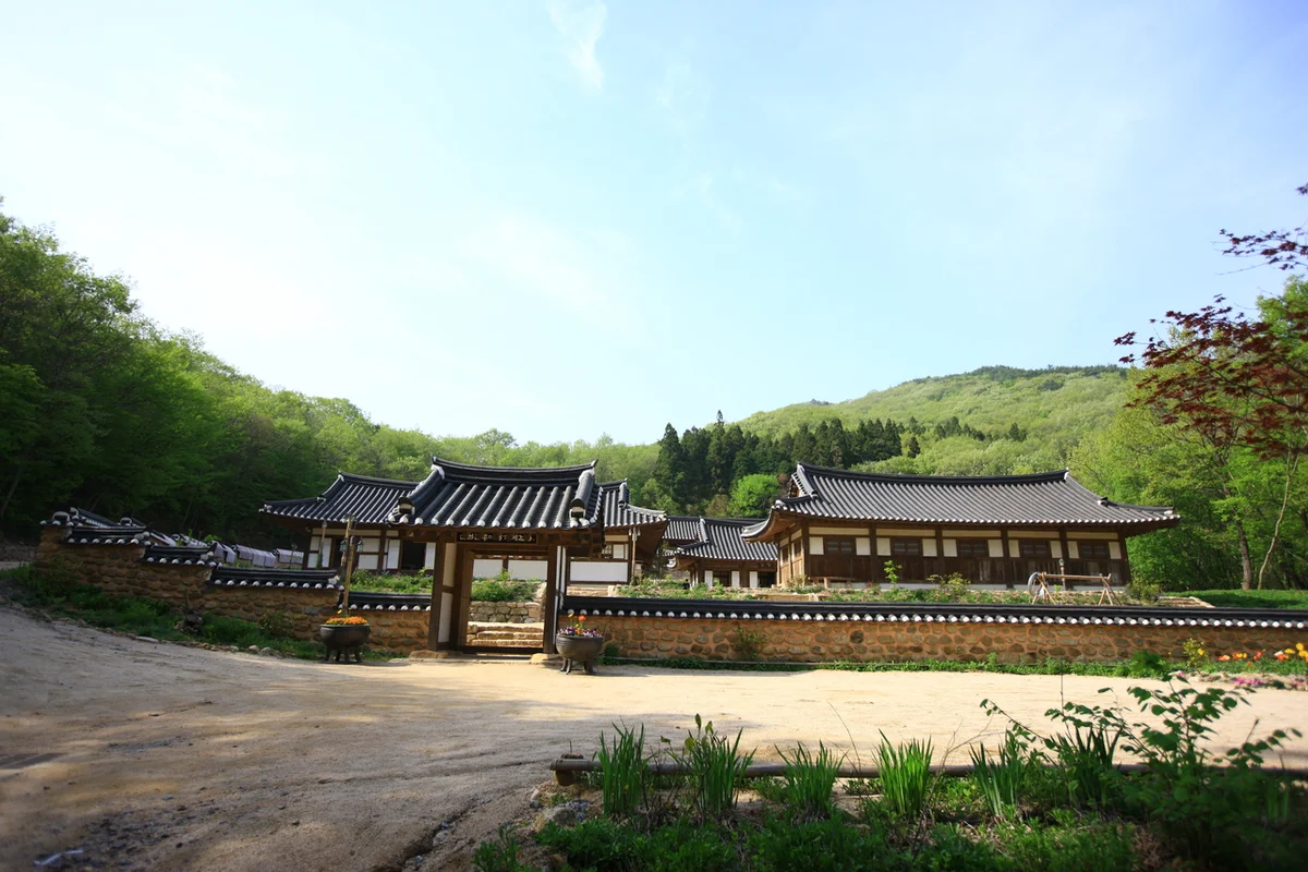 전통야생차체험관 - 순천 여행