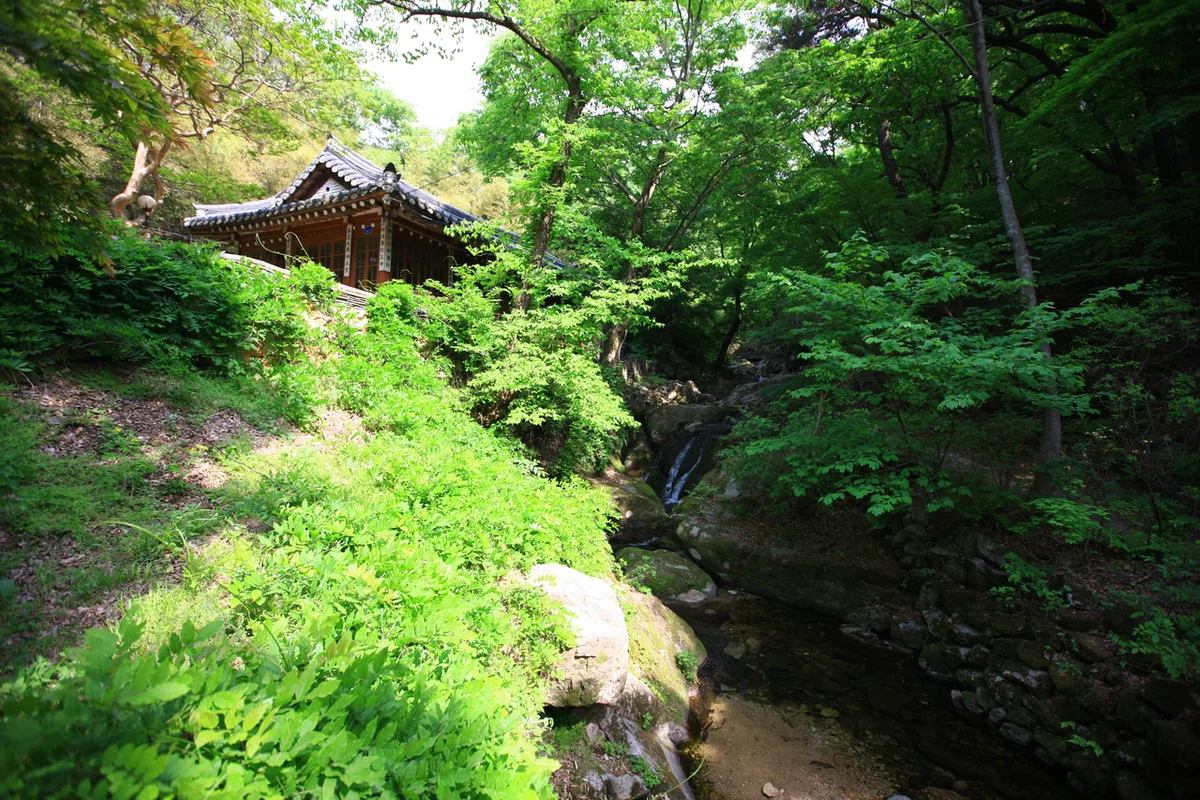 갑사 - 공주 여행