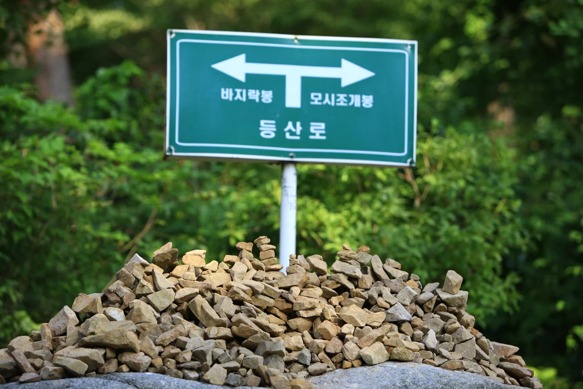 안면도 자연휴양림 - 태안 여행