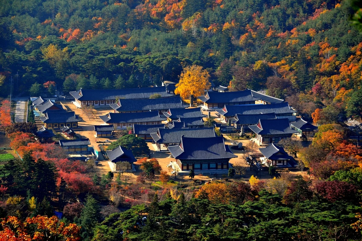 청도 운문사 - 청도 여행