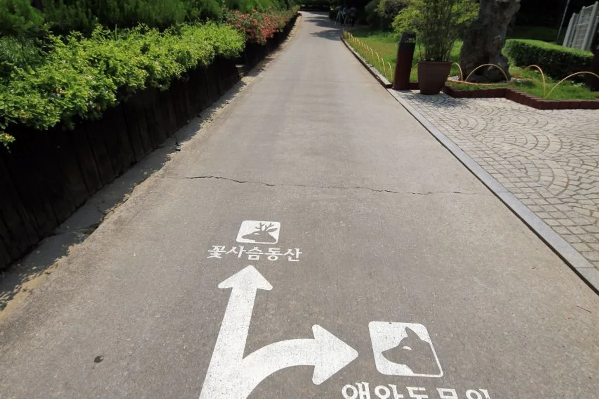 베어트리파크 - 세종 여행