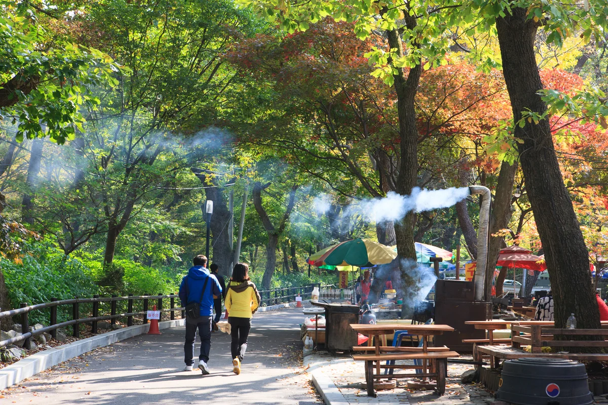 등산로 - 성남 여행