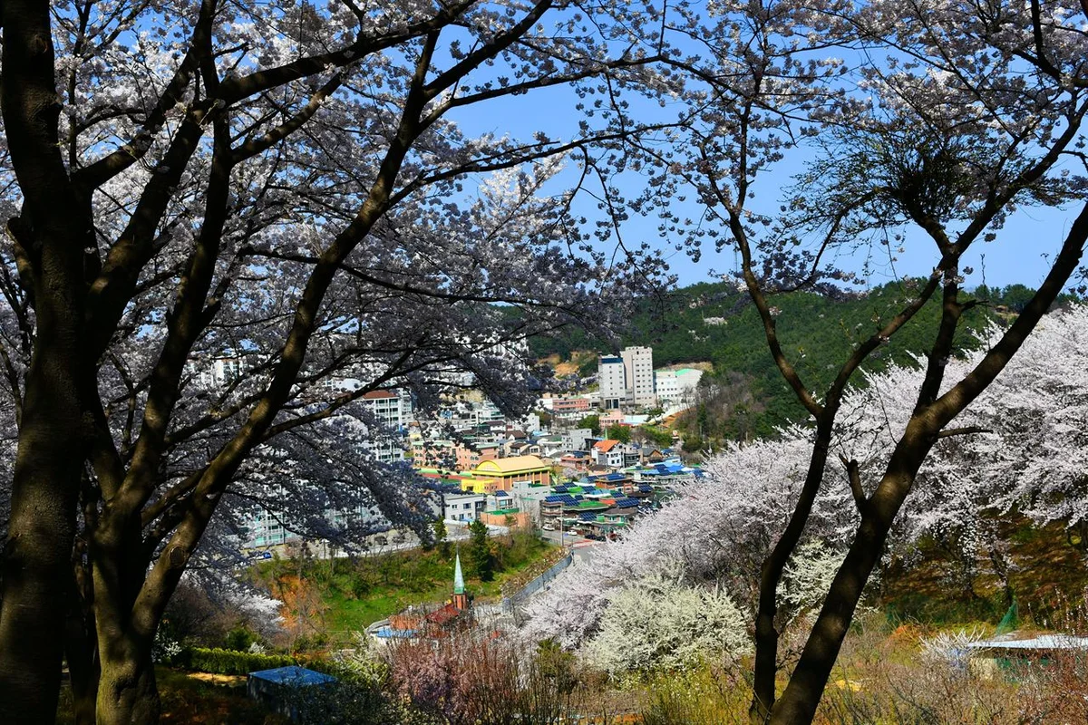 봉황산 - 의령 여행