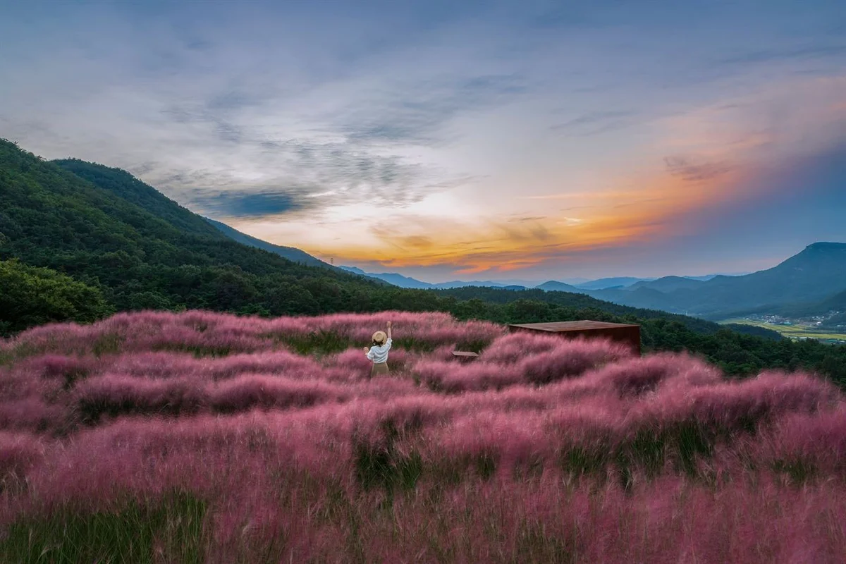 가산수피아 - 칠곡 여행