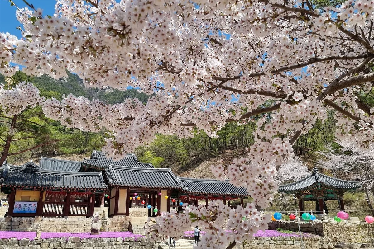 청평사 - 춘천 여행