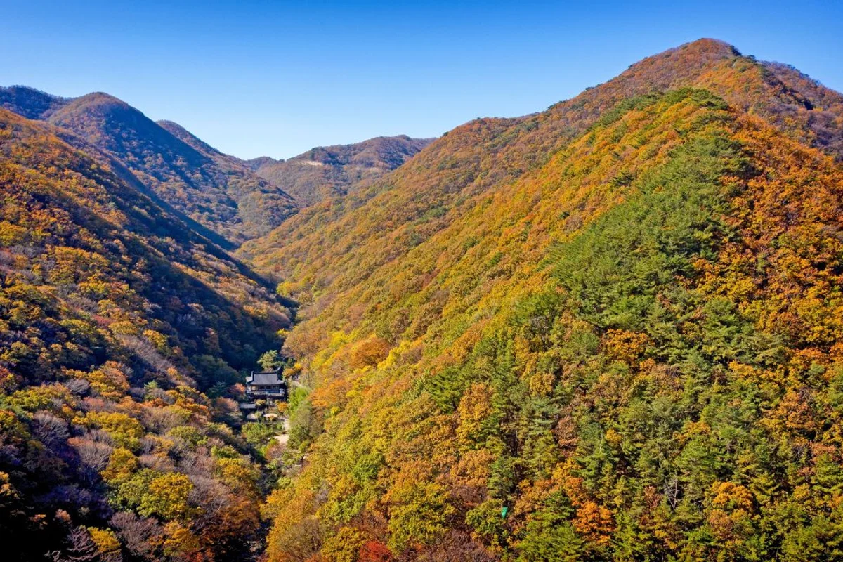 불광산 - 부산 여행