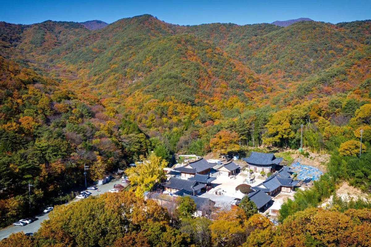 장안사 - 부산 여행