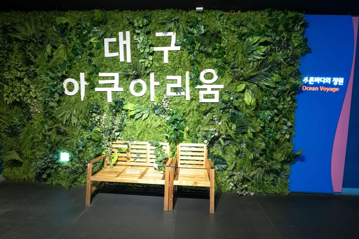 대구아쿠아리움 - 대구 여행