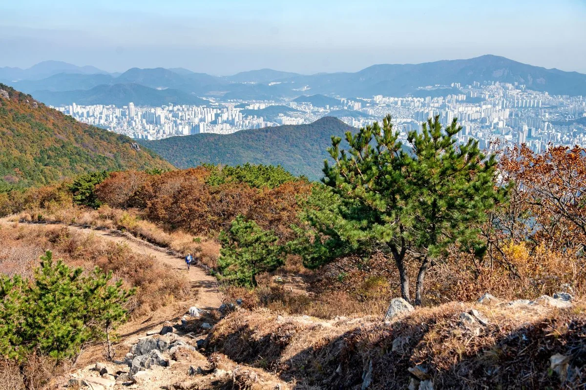 부산진구 - 부산 여행