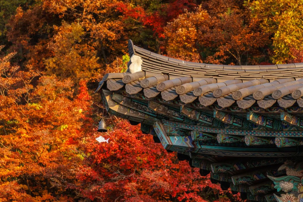 운길산 - 남양주 여행