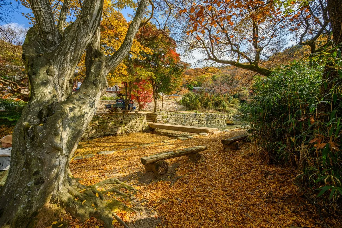 개심사 - 충남서산 여행