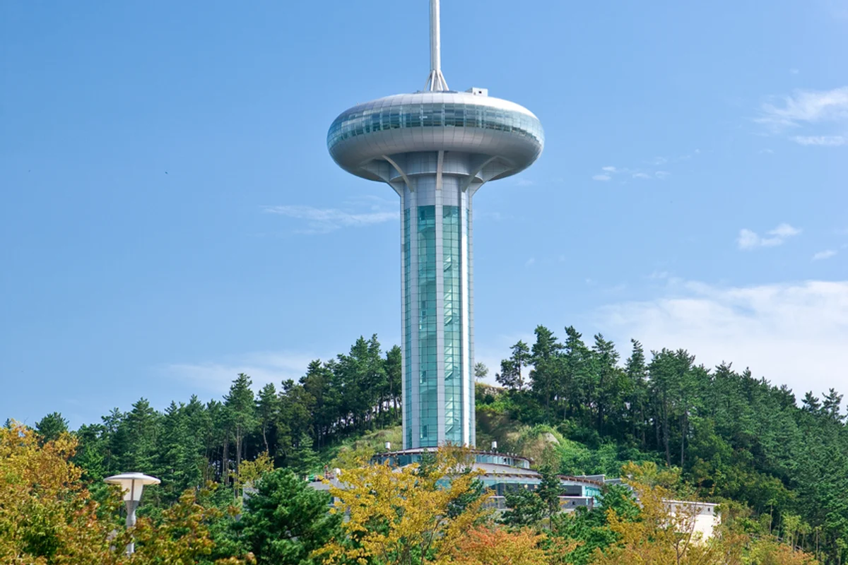완도타워 - 완도 여행