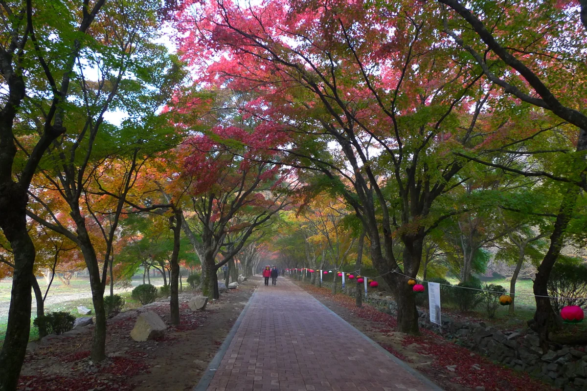 내장사 - 정읍 여행