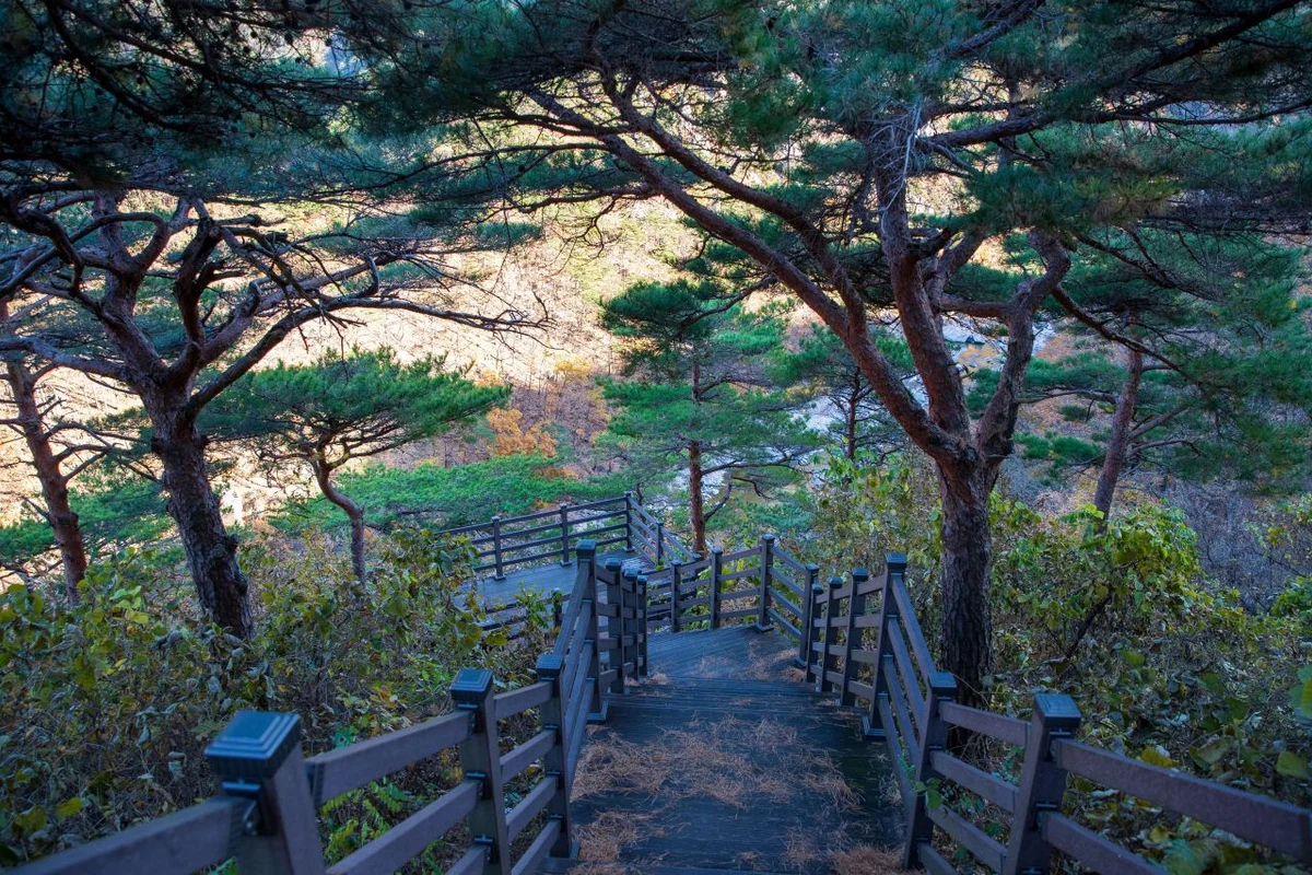 불영계곡 - 울진 여행