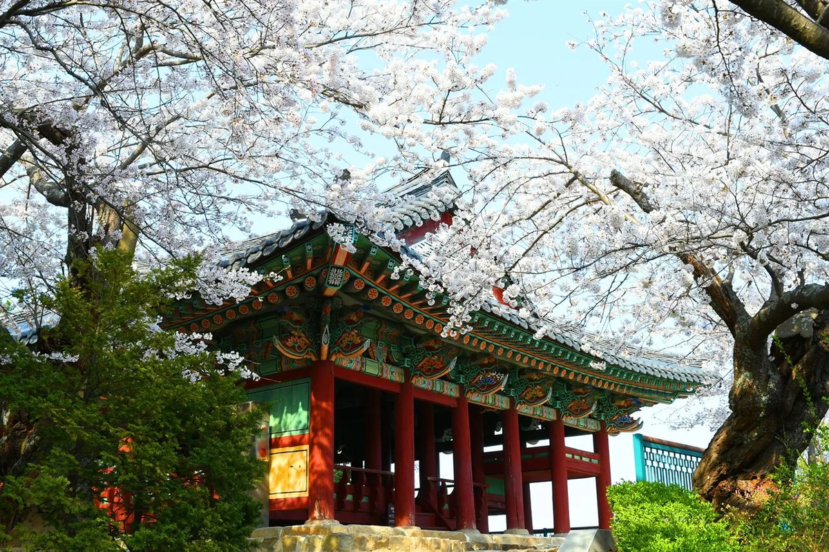 강릉 경포대 - 여행 여행