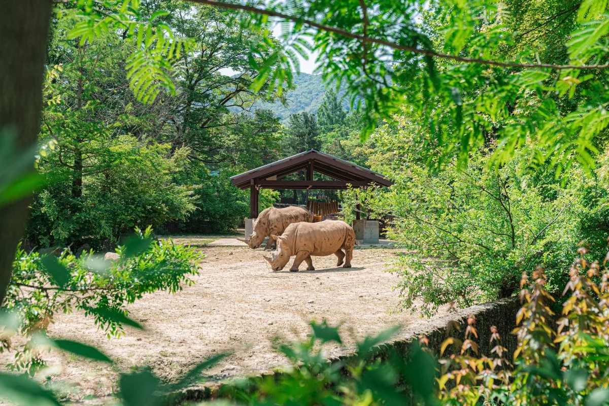 서울대공원 - 과천 여행