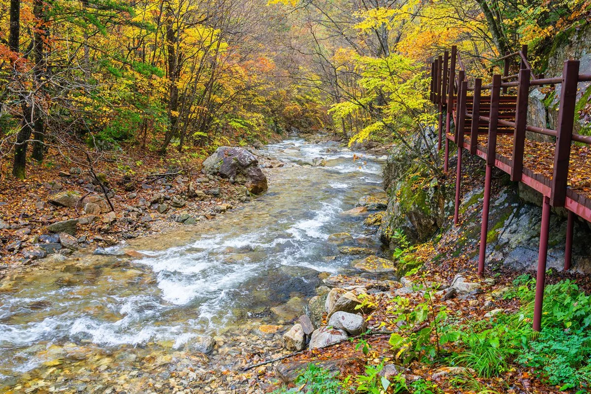 오대산 국립공원 - 여행 여행